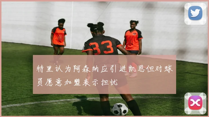 特里认为阿森纳应引进凯恩但对球员愿意加盟表示担忧